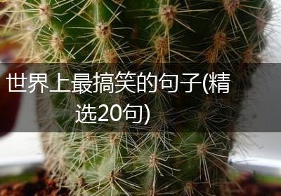 世界上最搞笑的句子(精选20句)