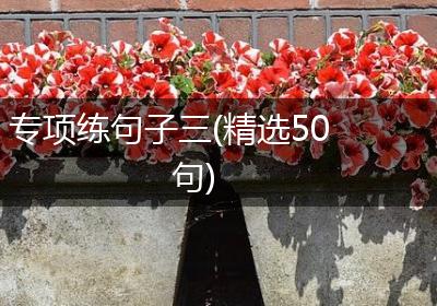 专项练句子三(精选50句)