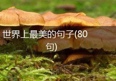 世界上最美的句子(80句)