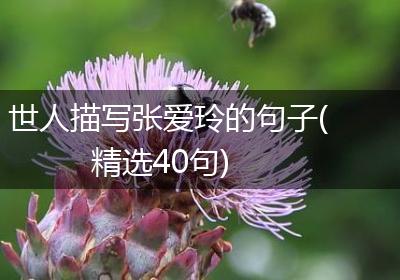 世人描写张爱玲的句子(精选40句)