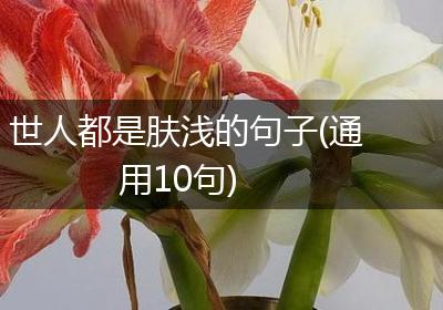 世人都是肤浅的句子(通用10句)