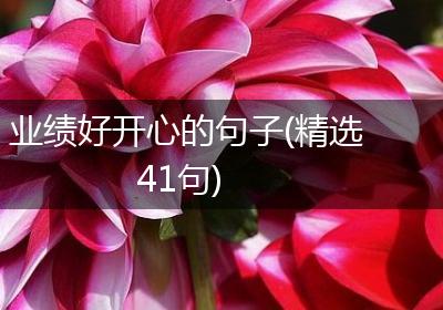 业绩好开心的句子(精选41句)