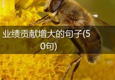 业绩贡献增大的句子(50句)