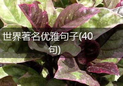 世界著名优雅句子(40句)