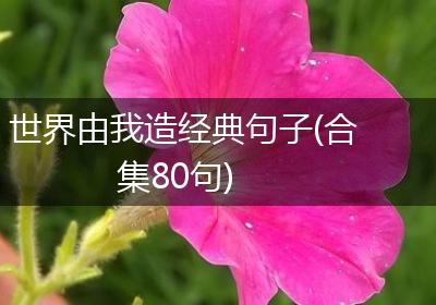 世界由我造经典句子(合集80句)