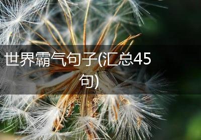 世界霸气句子(汇总45句)