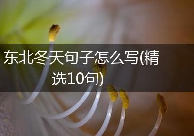 东北冬天句子怎么写(精选10句)