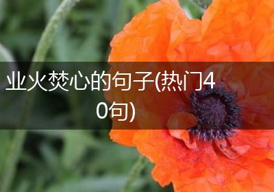 业火焚心的句子(热门40句)