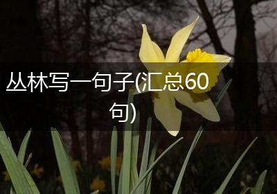 丛林写一句子(汇总60句)