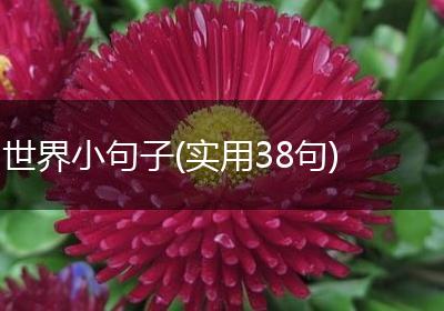 世界小句子(实用38句)