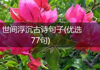 世间浮沉古诗句子(优选77句)