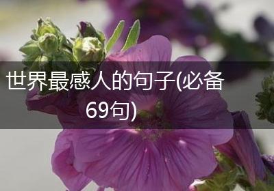 世界最感人的句子(必备69句)