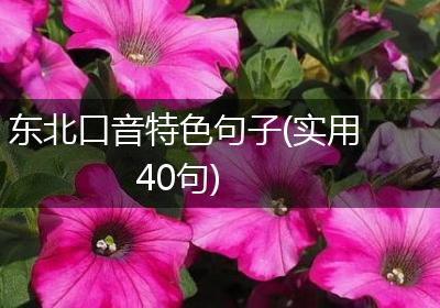 东北口音特色句子(实用40句)