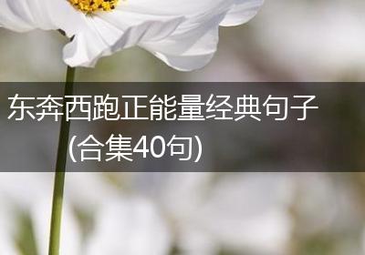 东奔西跑正能量经典句子(合集40句)