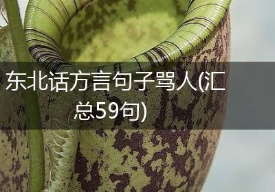 东北话方言句子骂人(汇总59句)