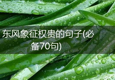 东风象征权贵的句子(必备70句)