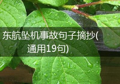 东航坠机事故句子摘抄(通用19句)