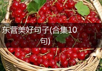 东营美好句子(合集10句)