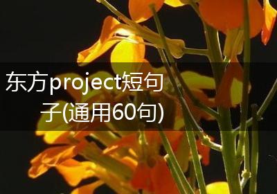 东方project短句子(通用60句)