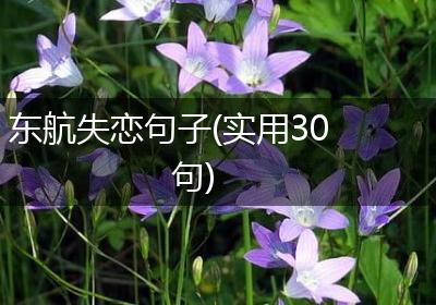 东航失恋句子(实用30句)