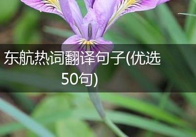 东航热词翻译句子(优选50句)