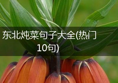 东北炖菜句子大全(热门10句)