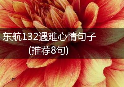 东航132遇难心情句子(推荐8句)