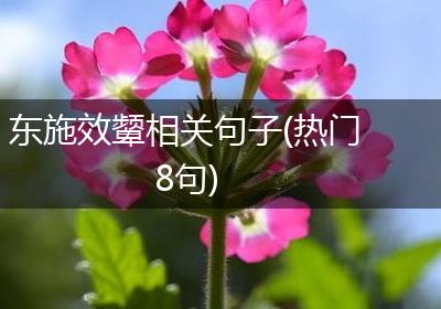 东施效颦相关句子(热门8句)