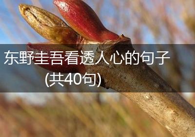 东野圭吾看透人心的句子(共40句)