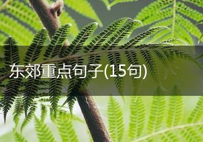 东郊重点句子(15句)