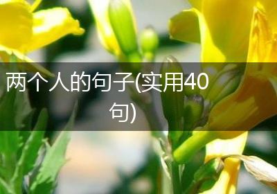 两个人的句子(实用40句)