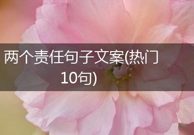 两个责任句子文案(热门10句)