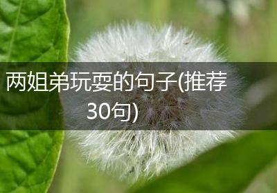两姐弟玩耍的句子(推荐30句)