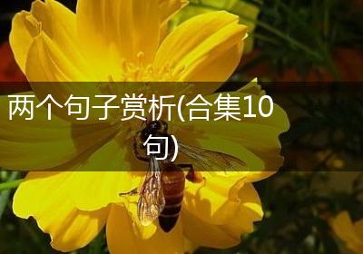 两个句子赏析(合集10句)