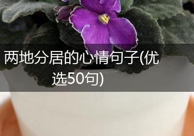两地分居的心情句子(优选50句)