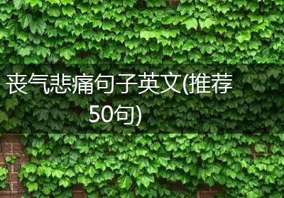丧气悲痛句子英文(推荐50句)