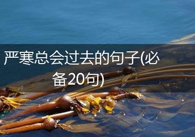 严寒总会过去的句子(必备20句)