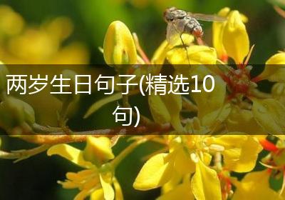 两岁生日句子(精选10句)