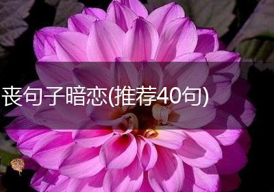 丧句子暗恋(推荐40句)