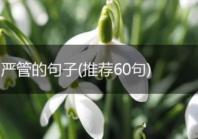 严管的句子(推荐60句)