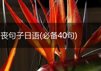 丧句子日语(必备40句)