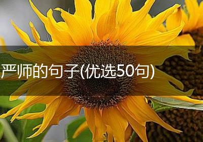 严师的句子(优选50句)