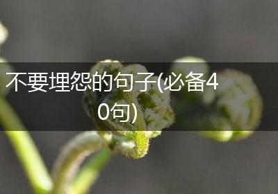 不要埋怨的句子(必备40句)