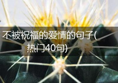 不被祝福的爱情的句子(热门40句)