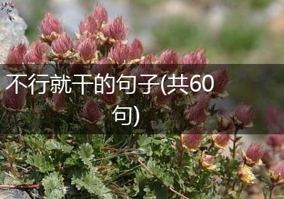 不行就干的句子(共60句)