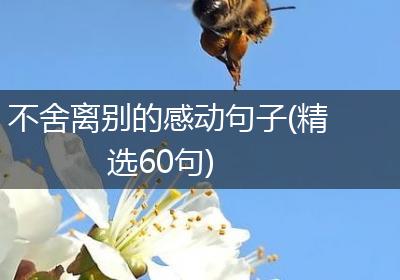 不舍离别的感动句子(精选60句)