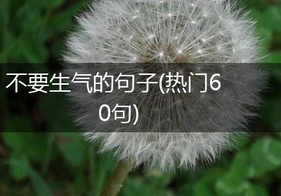 不要生气的句子(热门60句)
