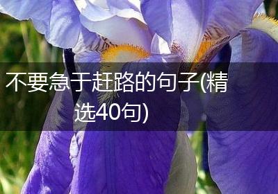 不要急于赶路的句子(精选40句)