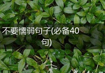 不要懦弱句子(必备40句)