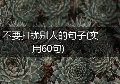 不要打扰别人的句子(实用60句)